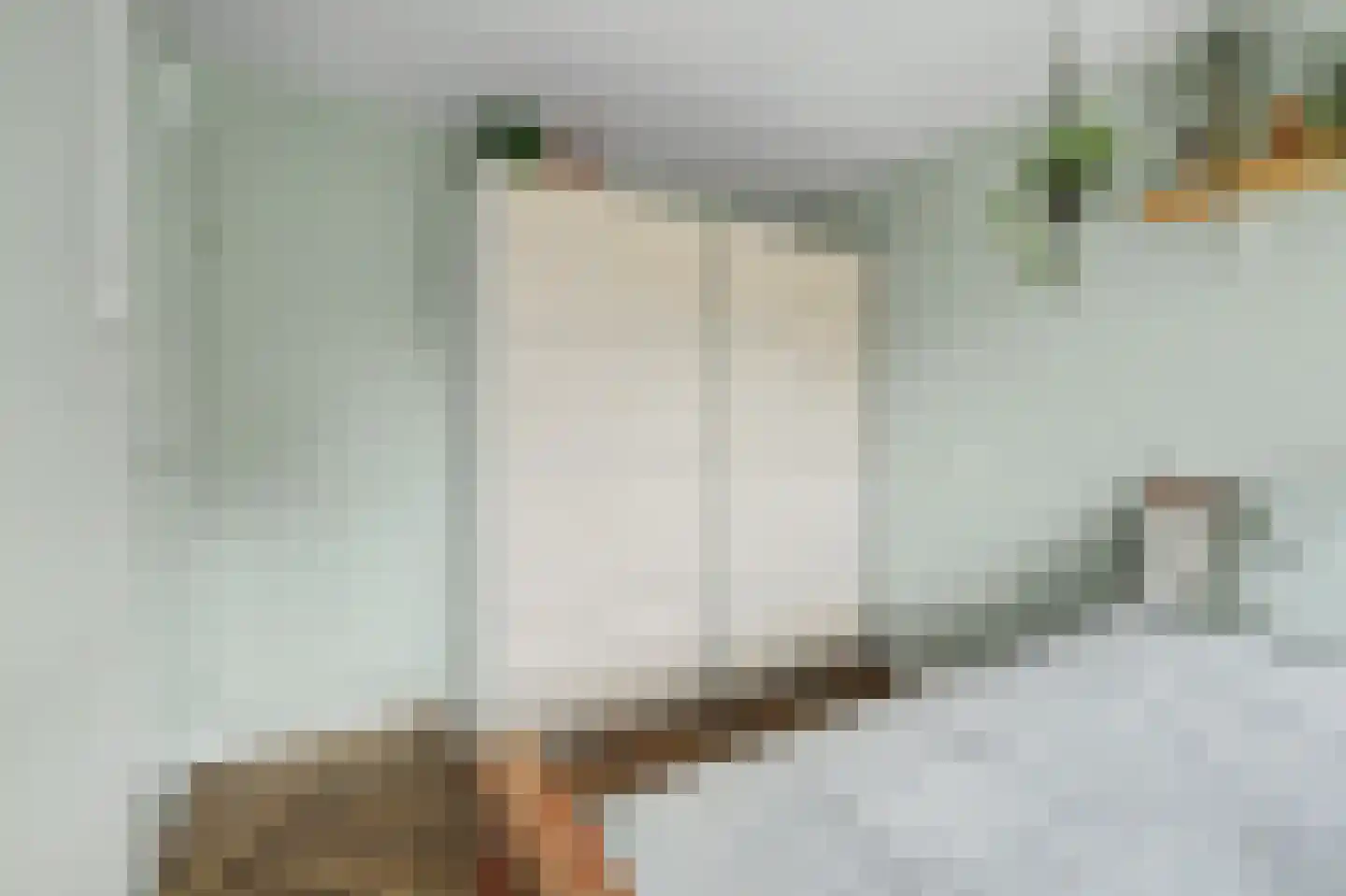 Rooseveltlaan 26 Goes thumbnail 18