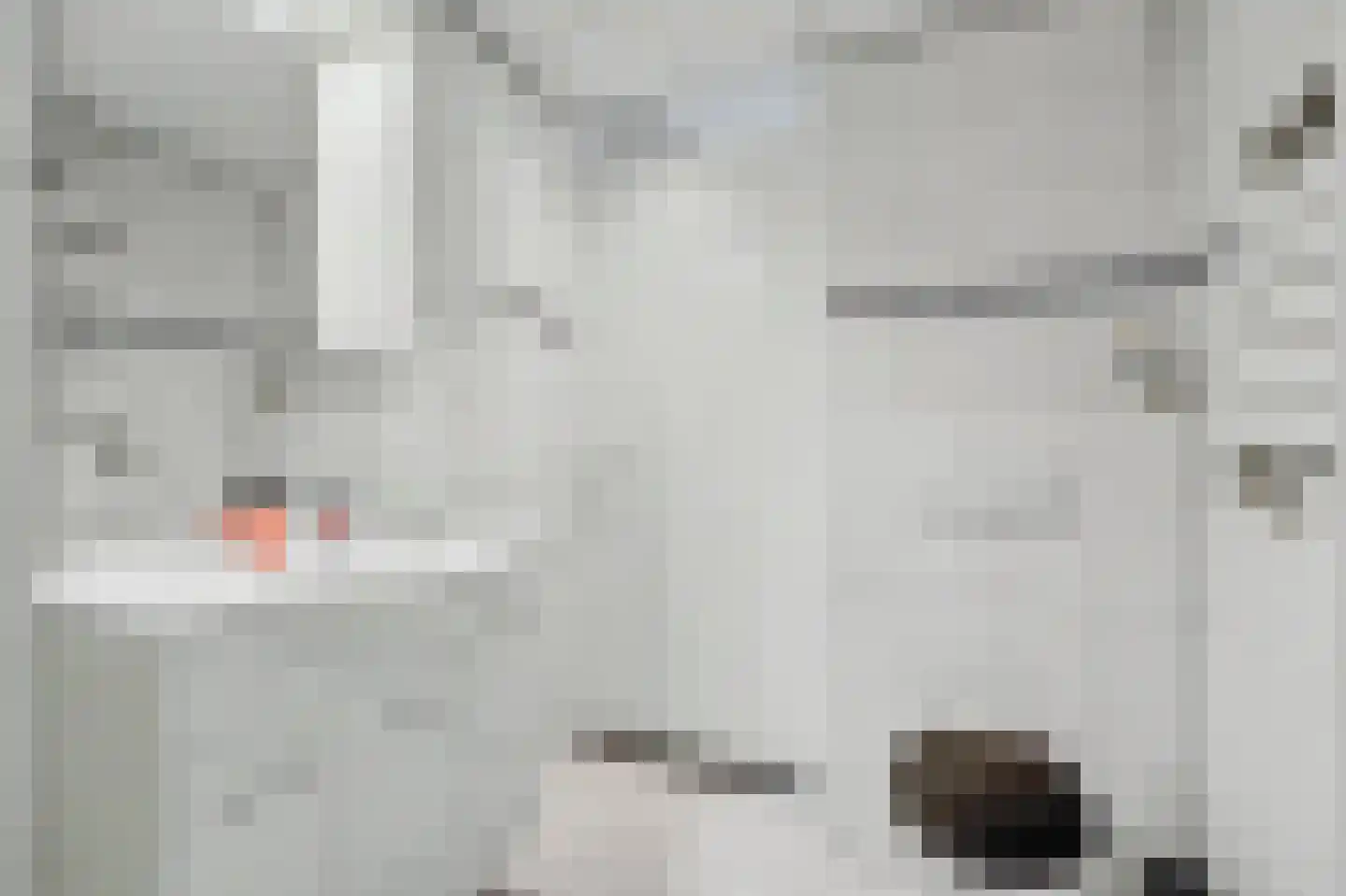 Rooseveltlaan 26 Goes thumbnail 26