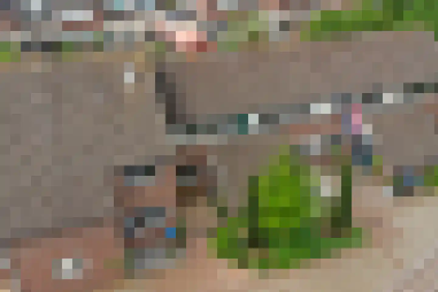 Rooseveltlaan 26 Goes thumbnail 35