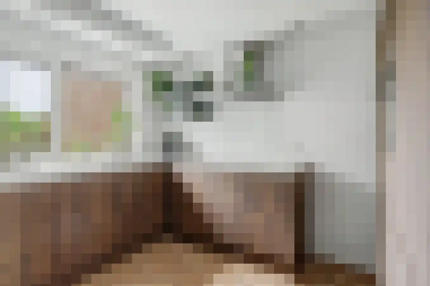 Rooseveltlaan 26 Goes thumbnail 8