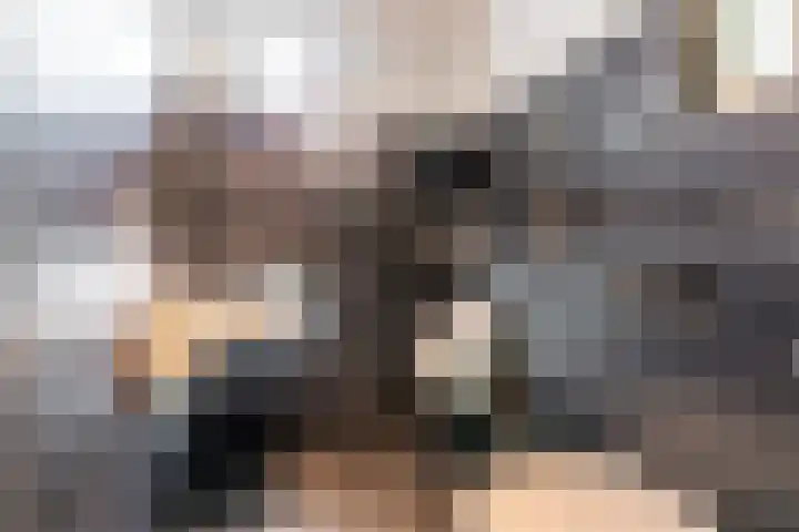 Rooseveltlaan 3 Harderwijk thumbnail 17