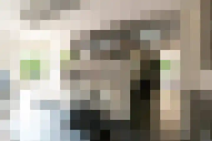 Rooseveltlaan 3 Harderwijk thumbnail 24