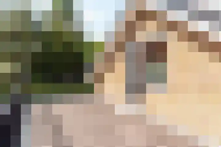 Rooseveltlaan 3 Harderwijk thumbnail 31