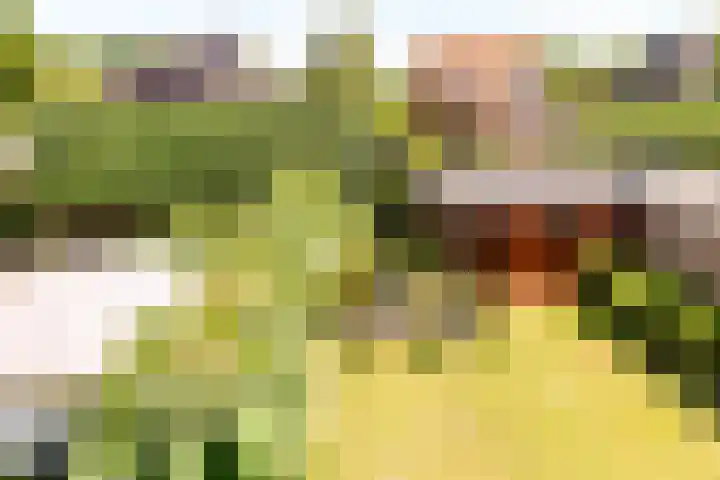 Rooseveltlaan 3 Harderwijk thumbnail 32