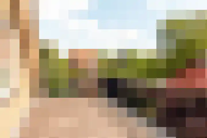 Rooseveltlaan 3 Harderwijk thumbnail 33