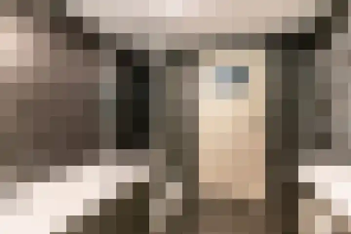 Rooseveltlaan 3 Harderwijk thumbnail 38
