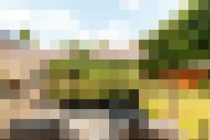 Rooseveltlaan 3 Harderwijk thumbnail 40
