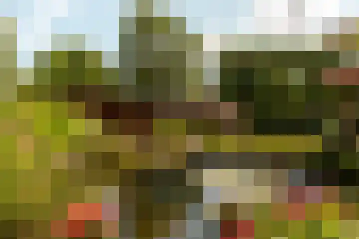 Rooseveltlaan 3 Harderwijk thumbnail 41