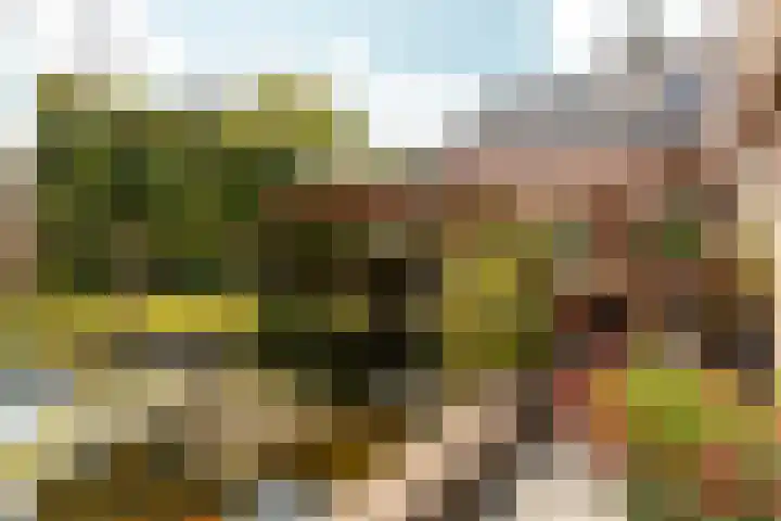 Rooseveltlaan 3 Harderwijk thumbnail 43