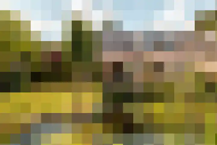 Rooseveltlaan 3 Harderwijk thumbnail 44