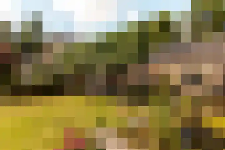 Rooseveltlaan 3 Harderwijk thumbnail 45