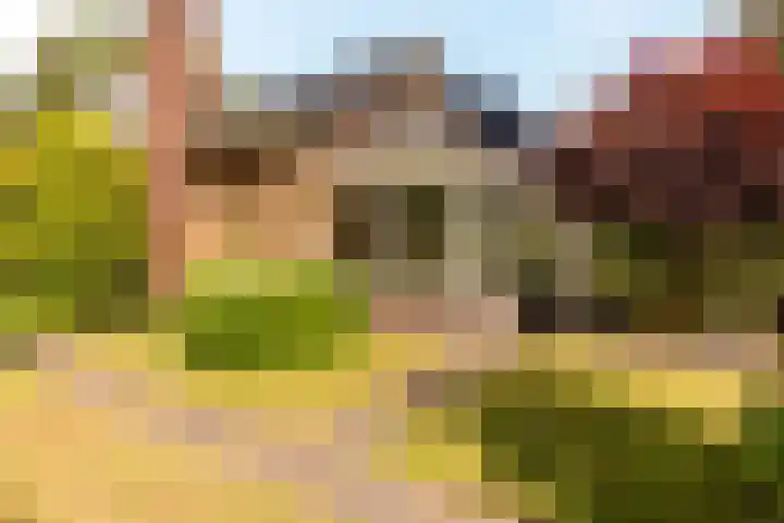 Rooseveltlaan 3 Harderwijk thumbnail 46