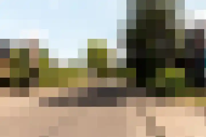Rooseveltlaan 3 Harderwijk thumbnail 51