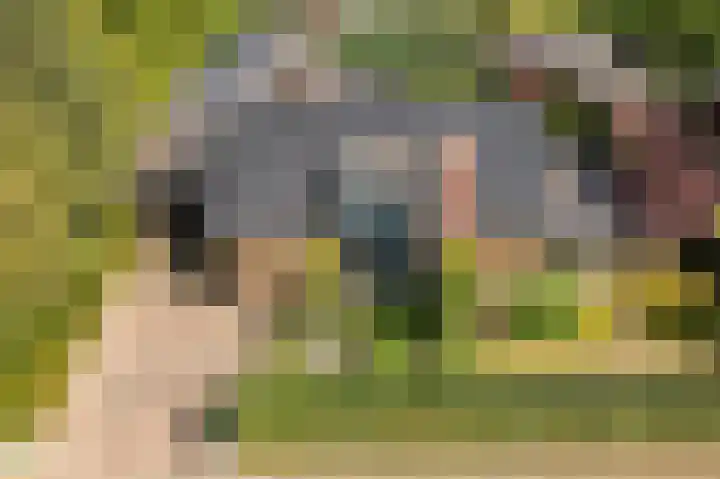 Rooseveltlaan 3 Harderwijk thumbnail 52