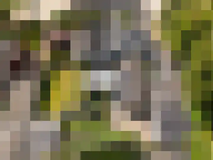 Rooseveltlaan 3 Harderwijk thumbnail 54