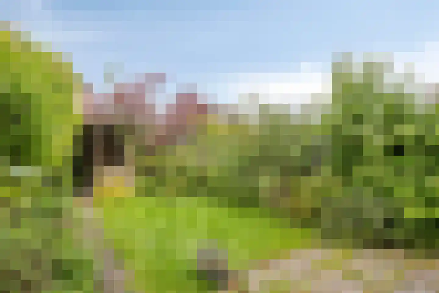 Rooseveltlaan 34 Castricum thumbnail 10