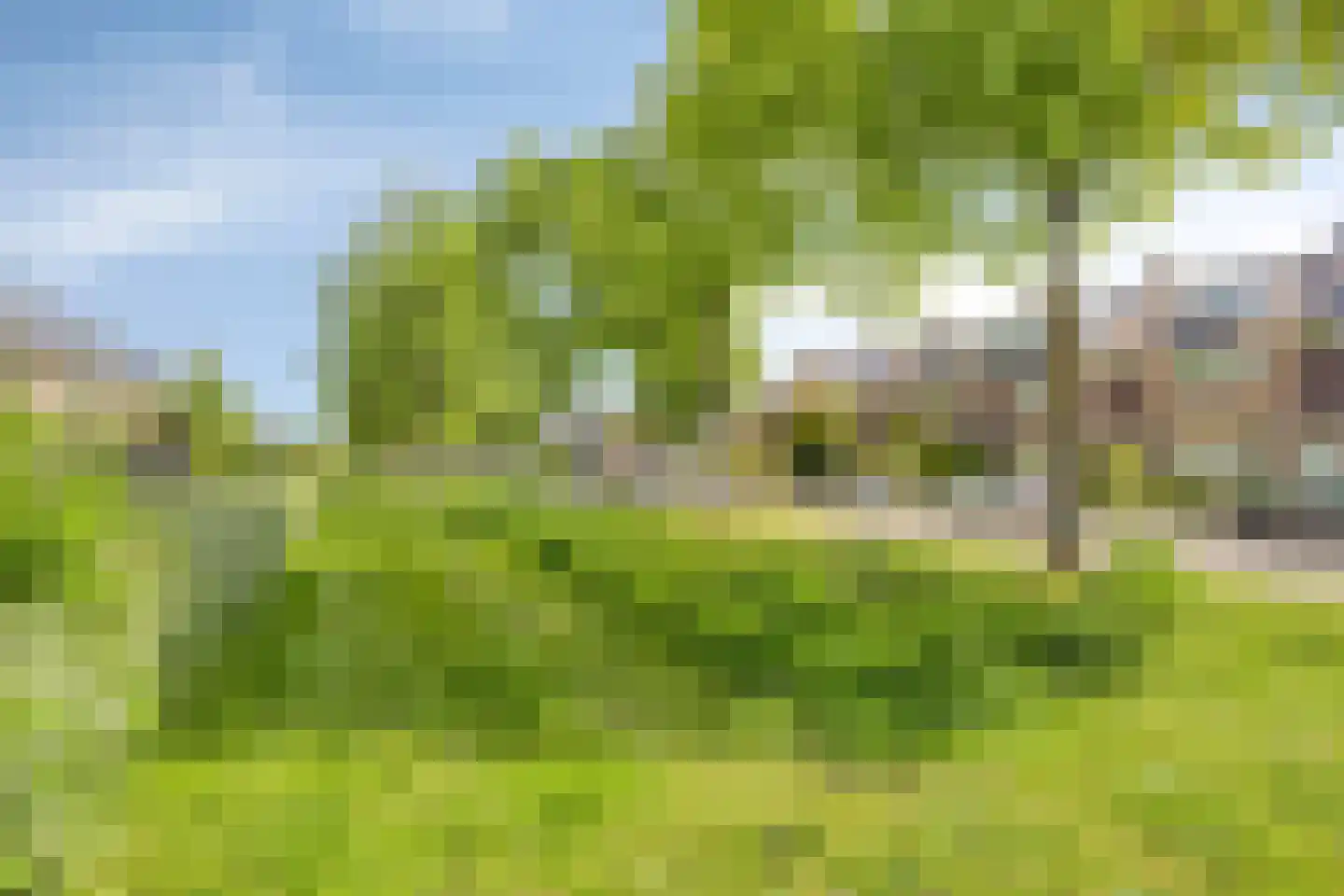 Rooseveltlaan 34 Castricum thumbnail 34