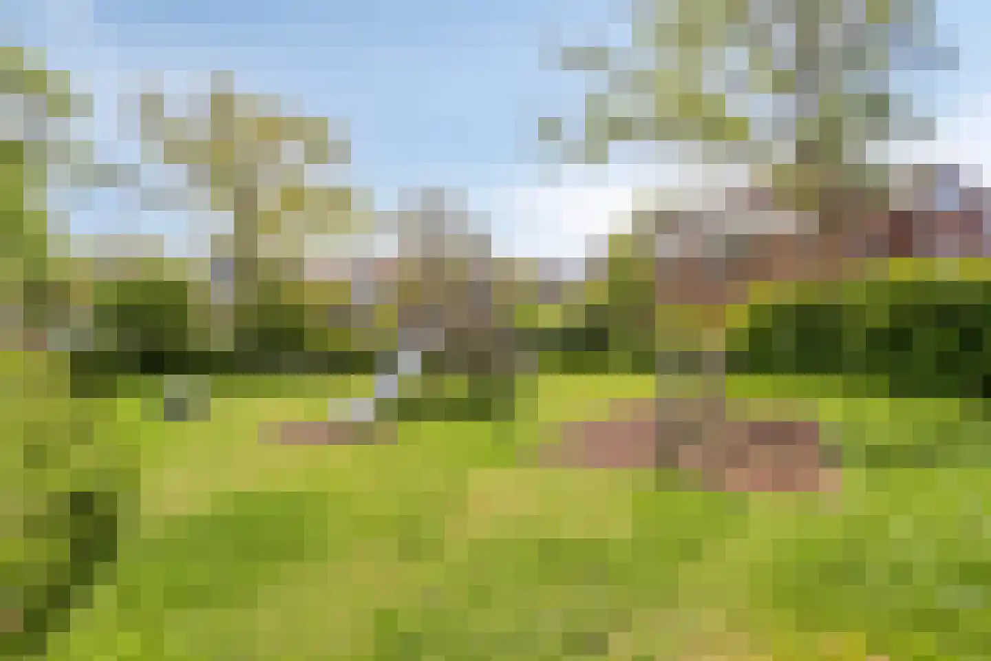 Rooseveltlaan 34 Castricum thumbnail 36