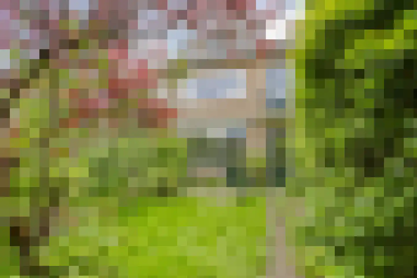 Rooseveltlaan 34 Castricum thumbnail 9