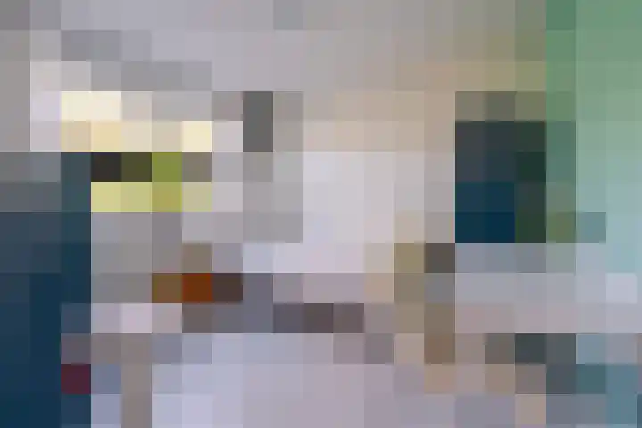 Rooseveltlaan 4 Zeist thumbnail 16
