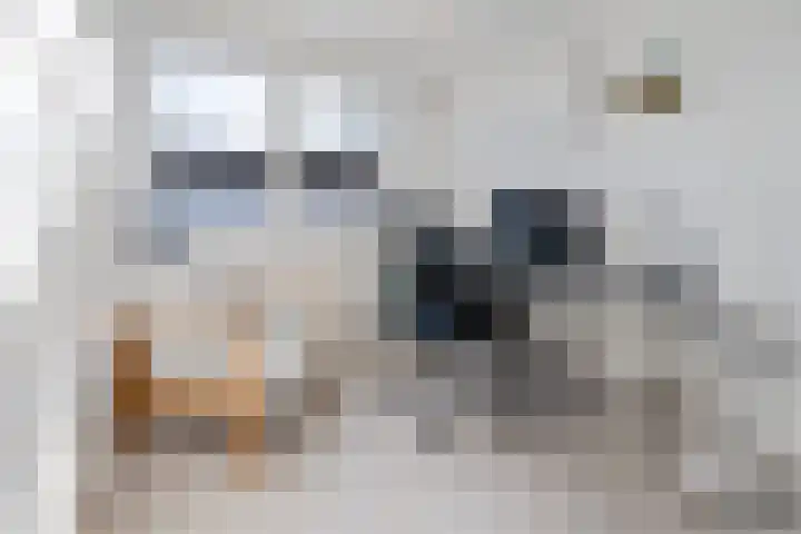 Rooseveltlaan 4 Zeist thumbnail 17