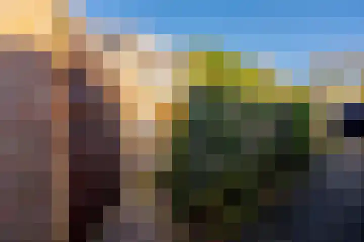 Rooseveltlaan 4 Zeist thumbnail 27