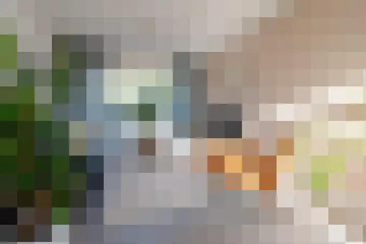Rooseveltlaan 4 Zeist thumbnail 4