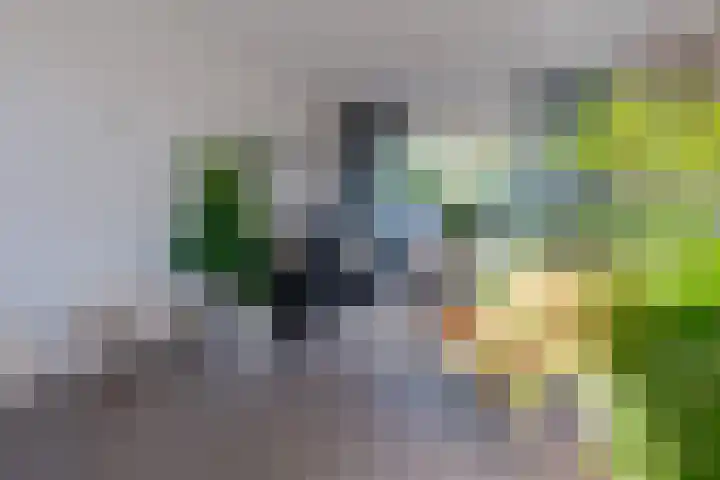 Rooseveltlaan 4 Zeist thumbnail 5
