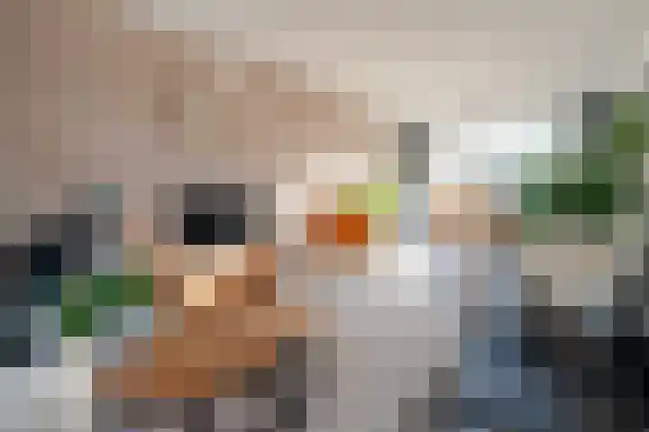 Rooseveltlaan 4 Zeist thumbnail 6
