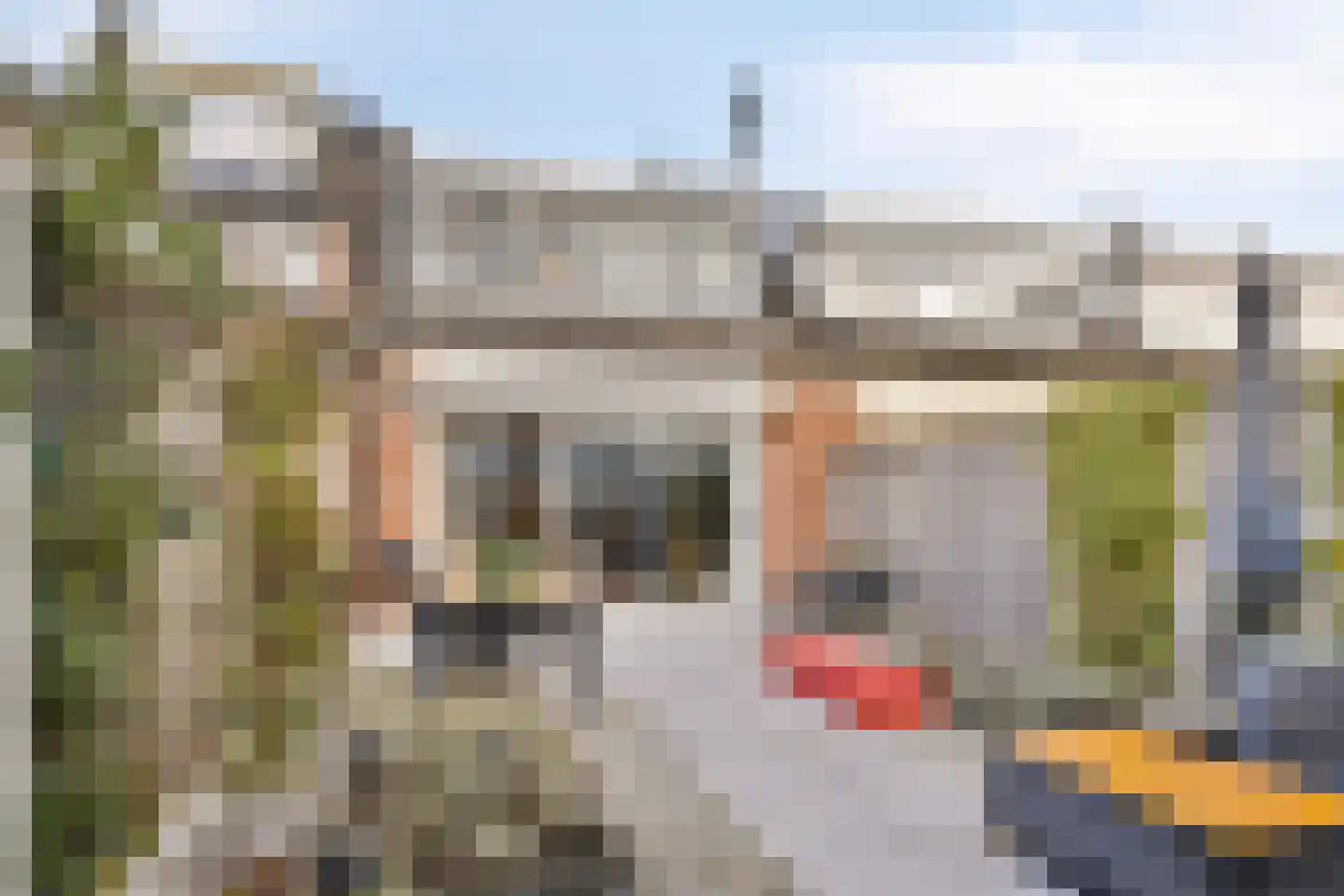Rooseveltlaan 41 Goes thumbnail 25