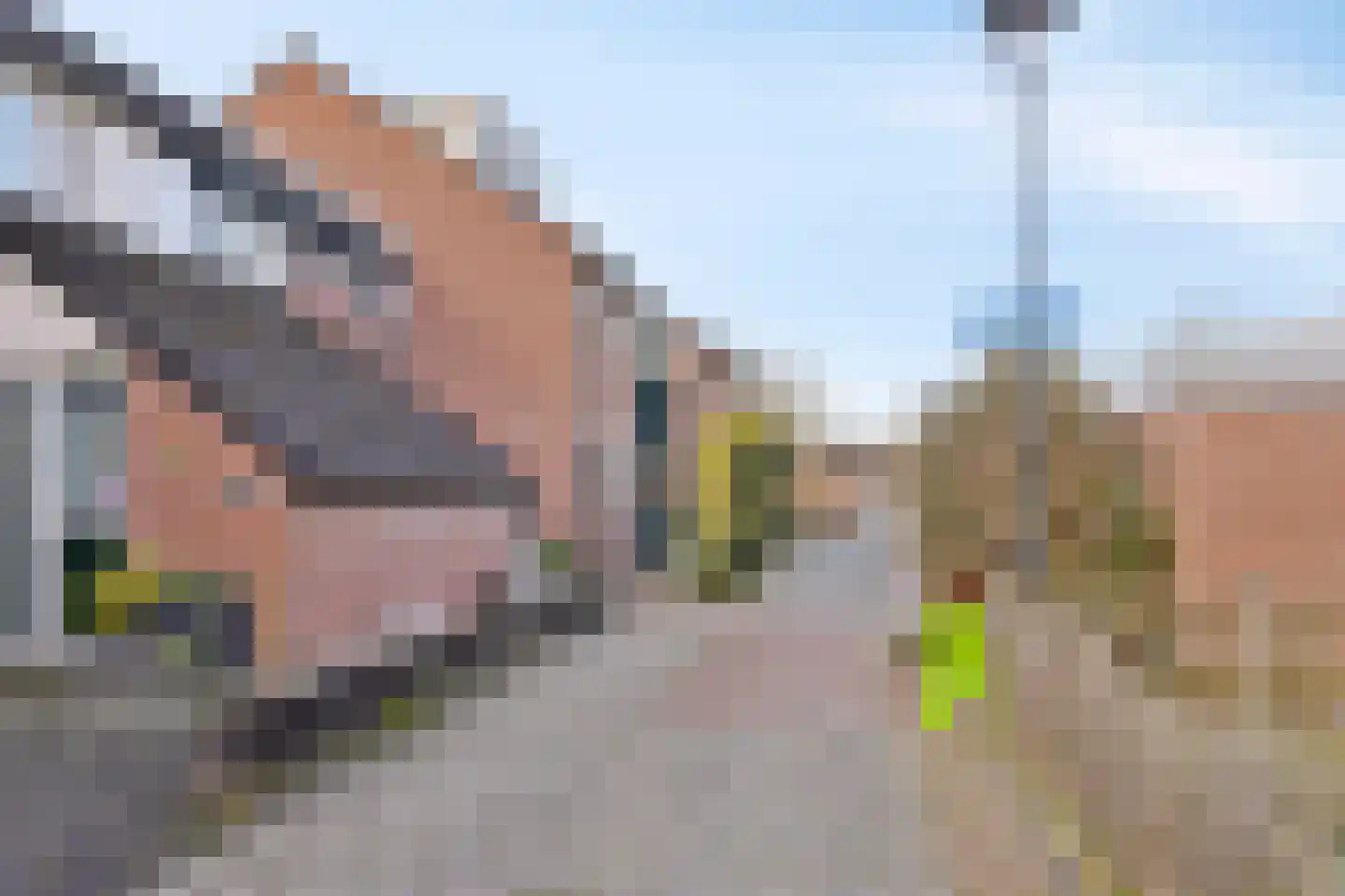 Rooseveltlaan 41 Goes thumbnail 28