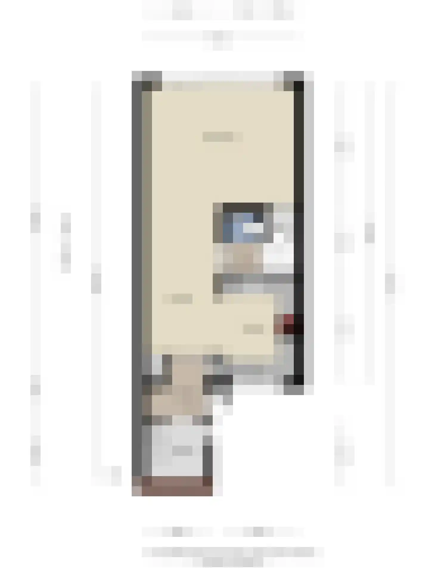 Rooseveltlaan 41 Goes thumbnail 39
