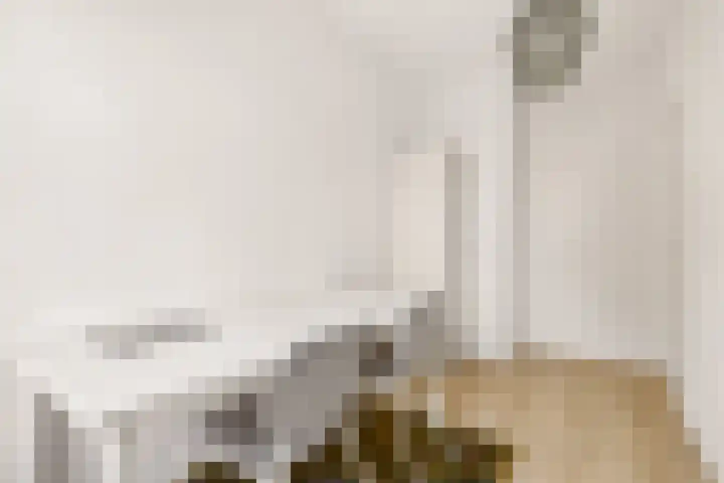Rooseveltlaan 446 Utrecht thumbnail 14