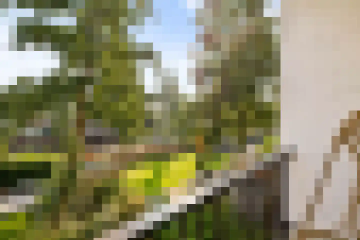 Rooseveltlaan 446 Utrecht thumbnail 16