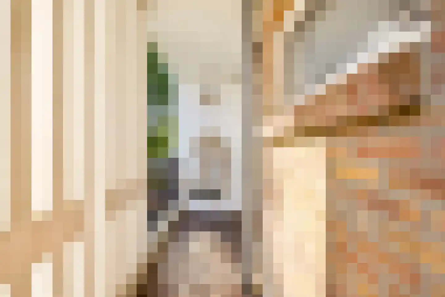 Rooseveltlaan 446 Utrecht thumbnail 17