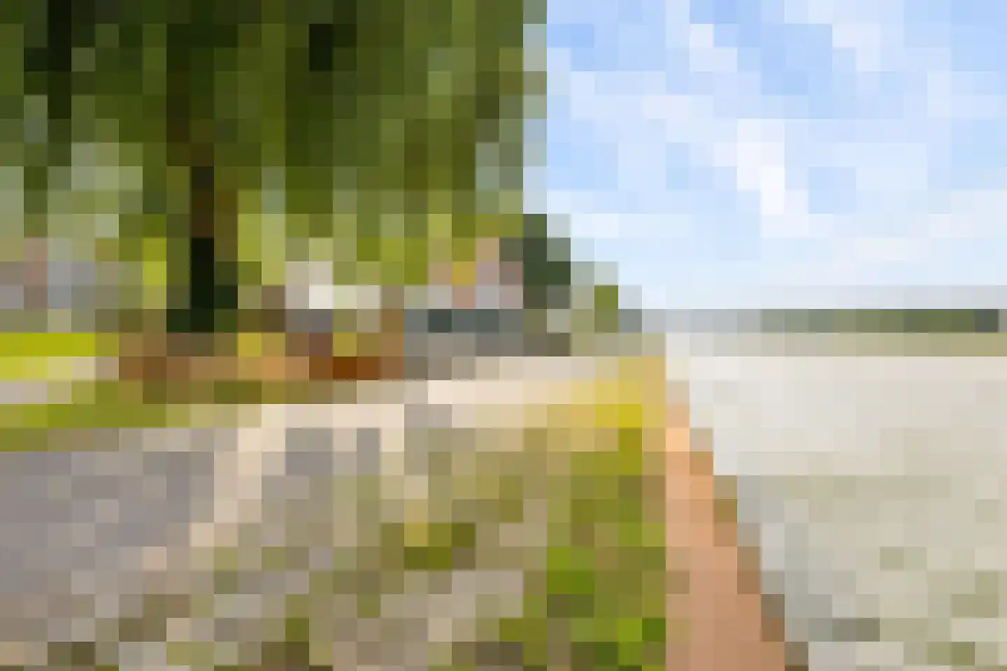 Rooseveltlaan 446 Utrecht thumbnail 26