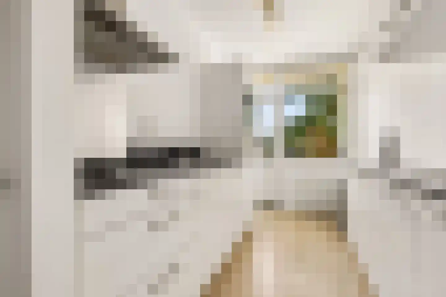 Rooseveltlaan 446 Utrecht thumbnail 4