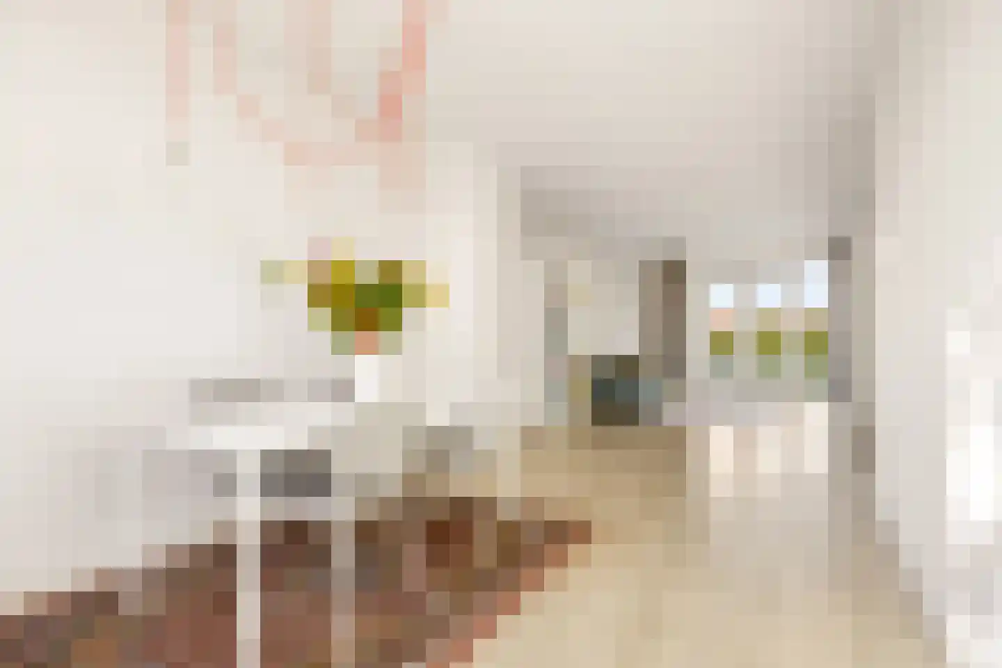 Rooseveltlaan 446 Utrecht thumbnail 6