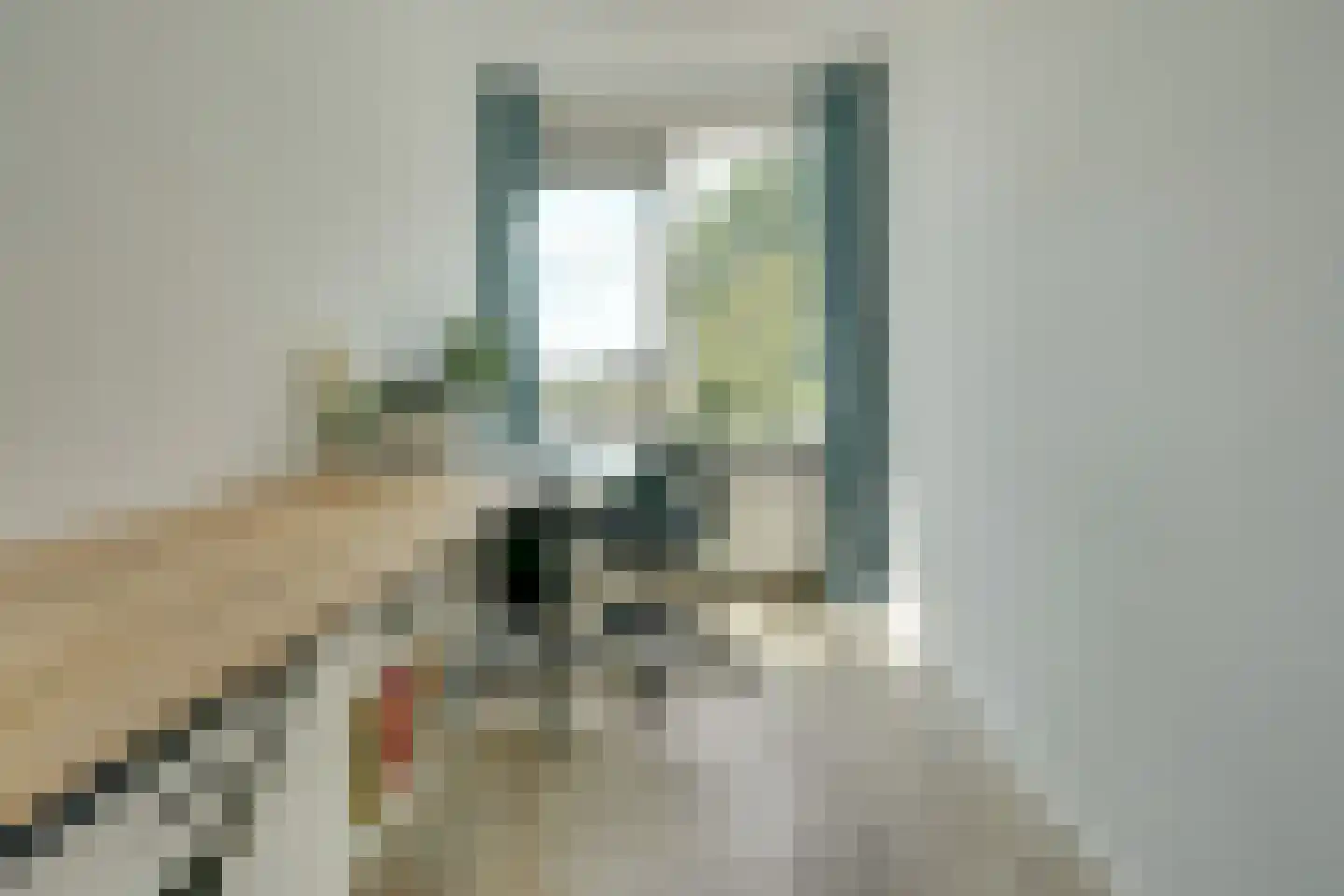Rooseveltlaan 448 Utrecht thumbnail 12