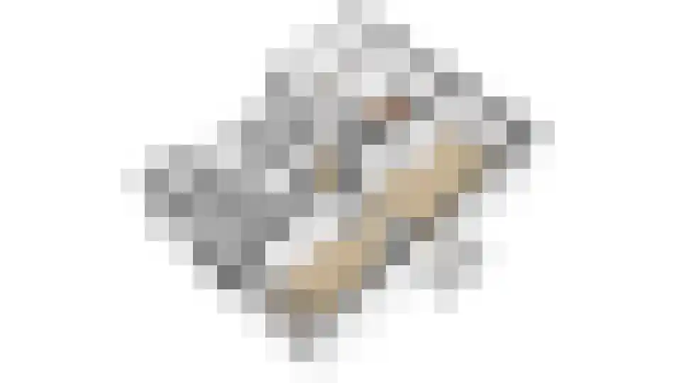 Rooseveltlaan 448 Utrecht thumbnail 46