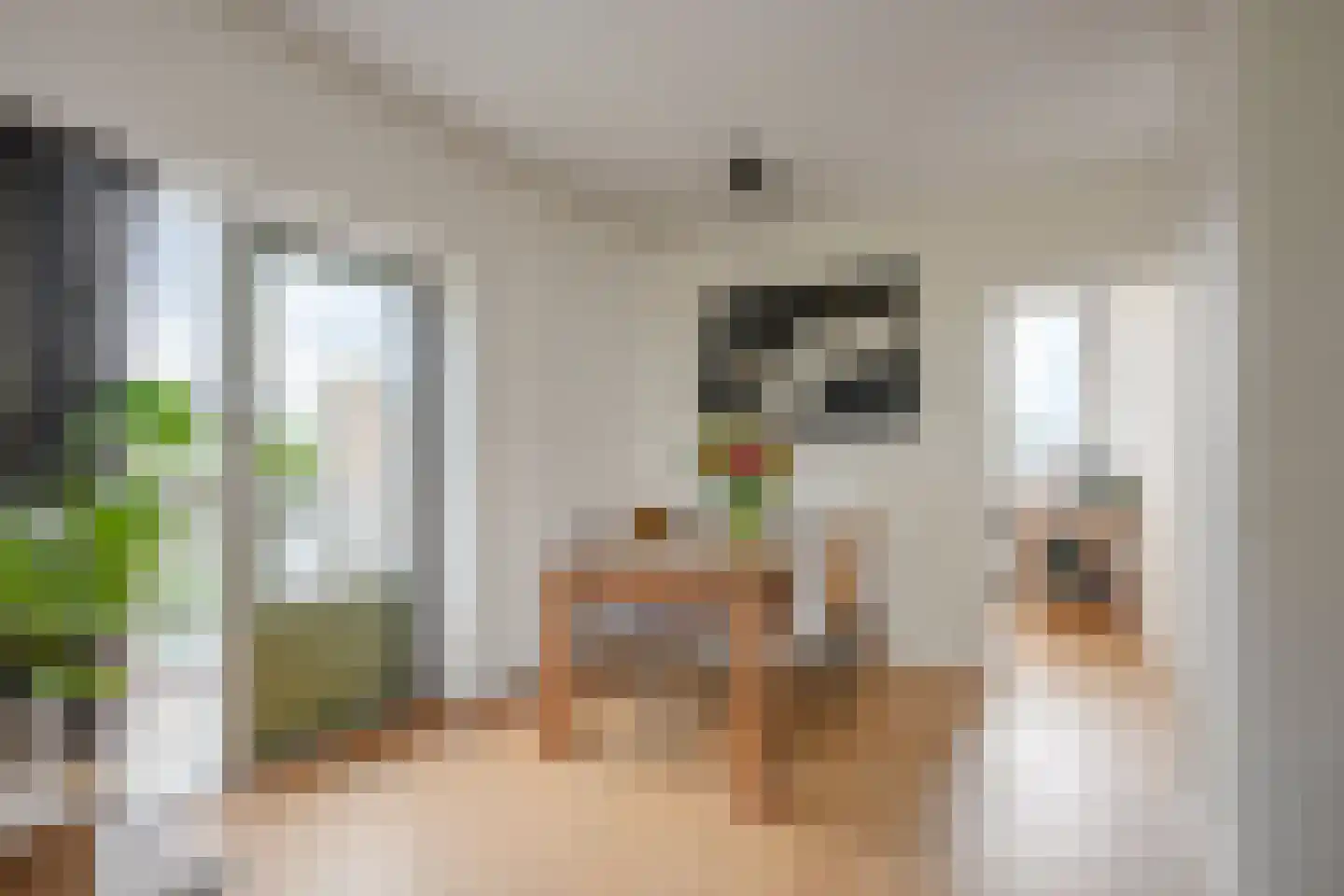 Rooseveltlaan 452 Utrecht thumbnail 11