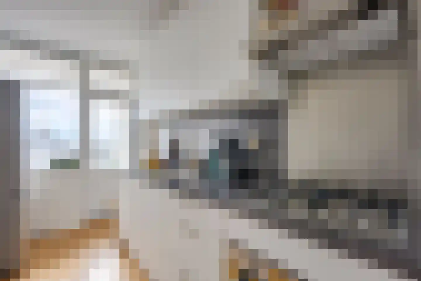 Rooseveltlaan 452 Utrecht thumbnail 17