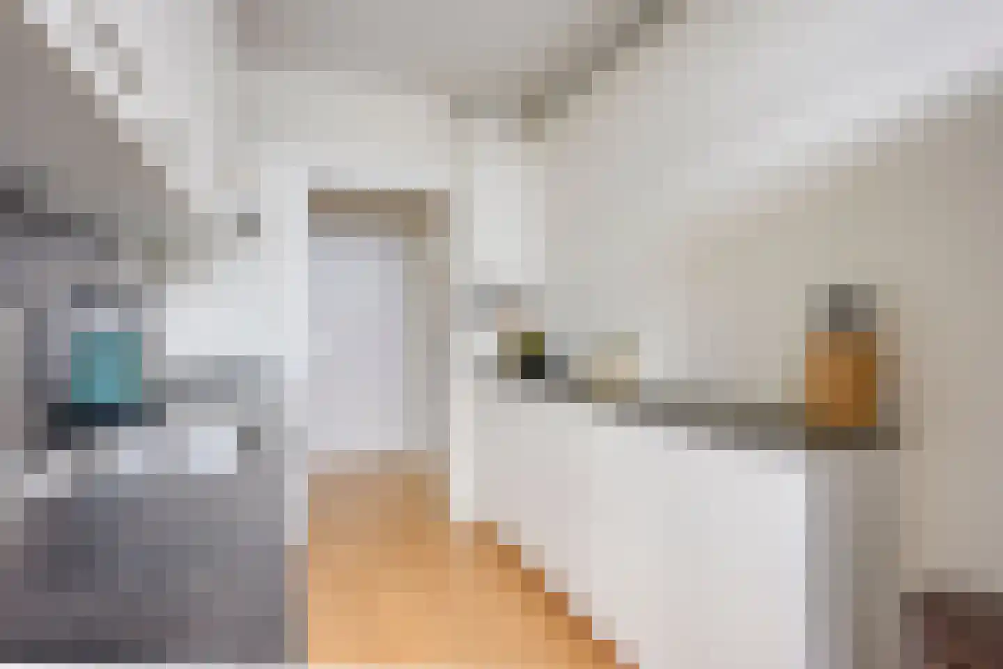Rooseveltlaan 452 Utrecht thumbnail 18