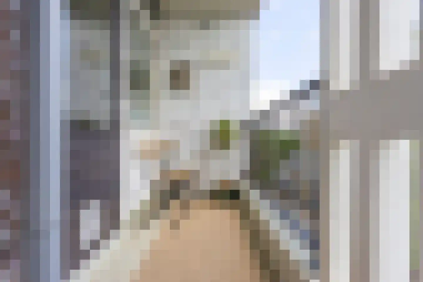 Rooseveltlaan 452 Utrecht thumbnail 19