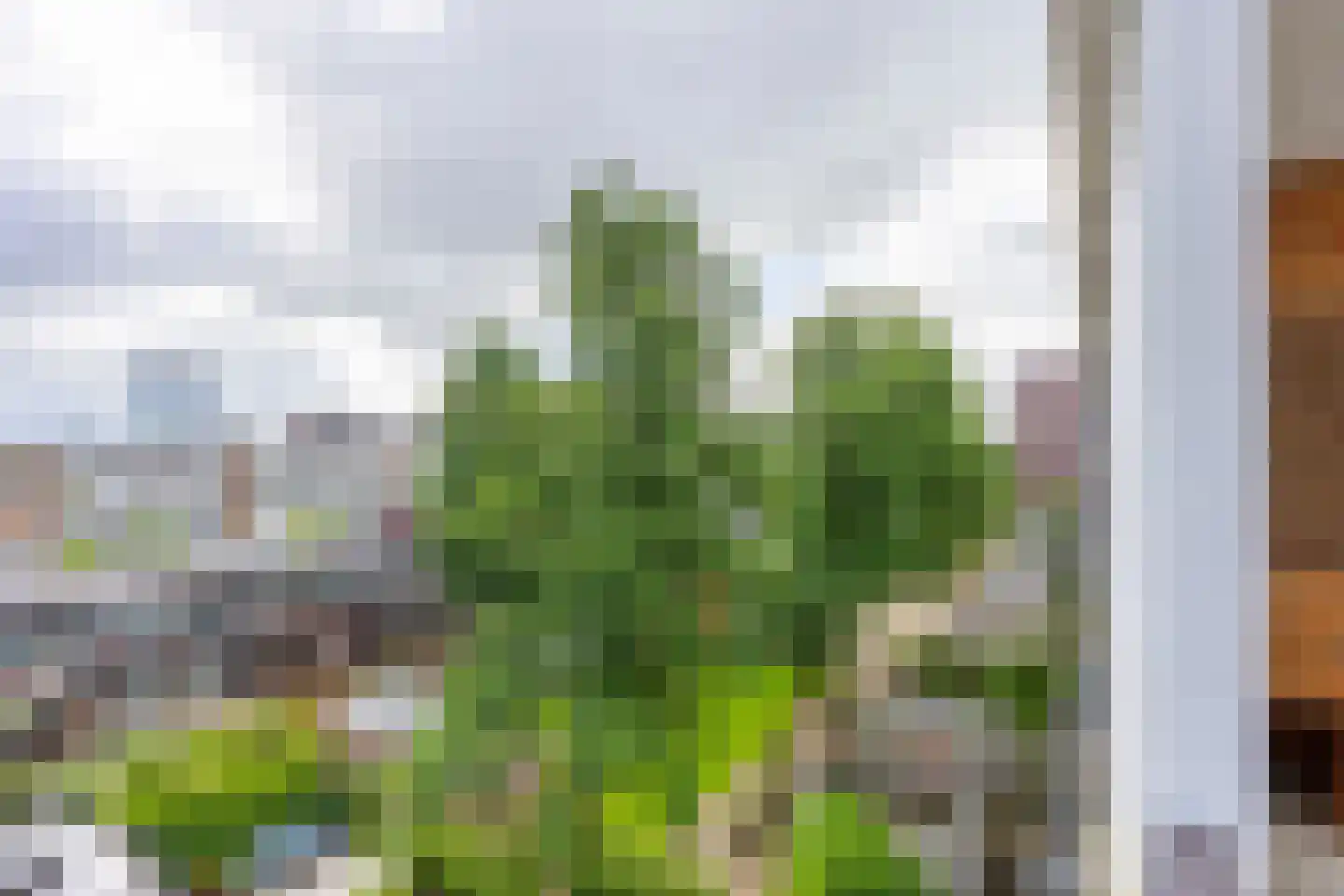 Rooseveltlaan 452 Utrecht thumbnail 20
