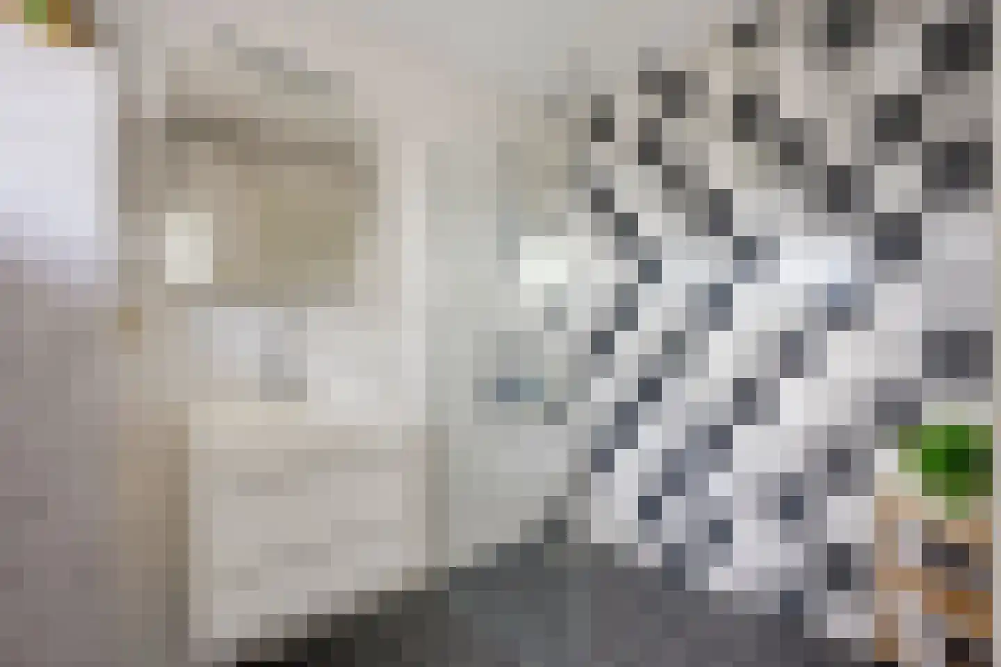 Rooseveltlaan 452 Utrecht thumbnail 28