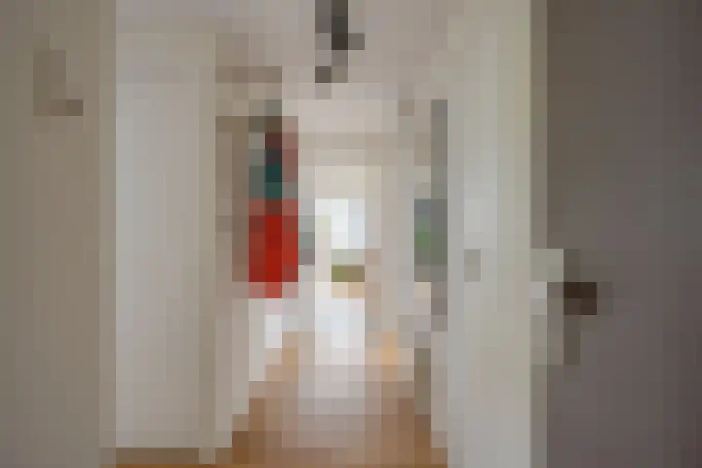Rooseveltlaan 452 Utrecht thumbnail 7