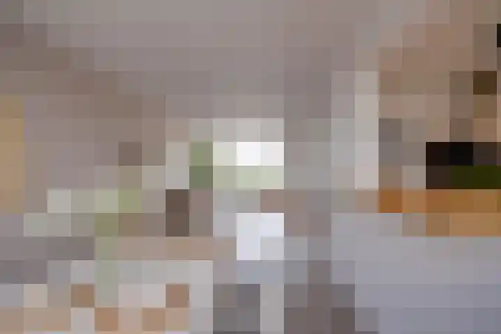 Rooseveltlaan 454 Utrecht thumbnail 12