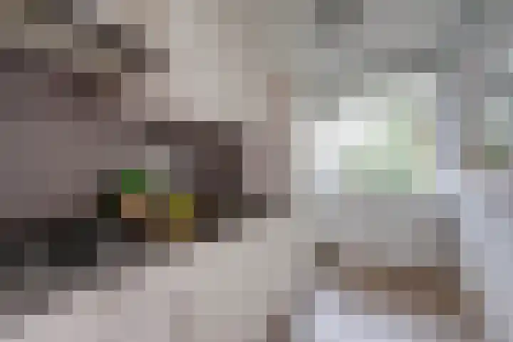 Rooseveltlaan 454 Utrecht thumbnail 15