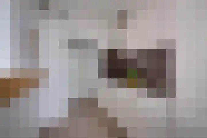 Rooseveltlaan 454 Utrecht thumbnail 16